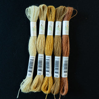 Broderigarn - Ull - DMC Eco Vita - 203
