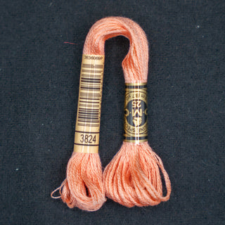 Broderigarn - Bomull - DMC - Mouliné Spécial - 3824